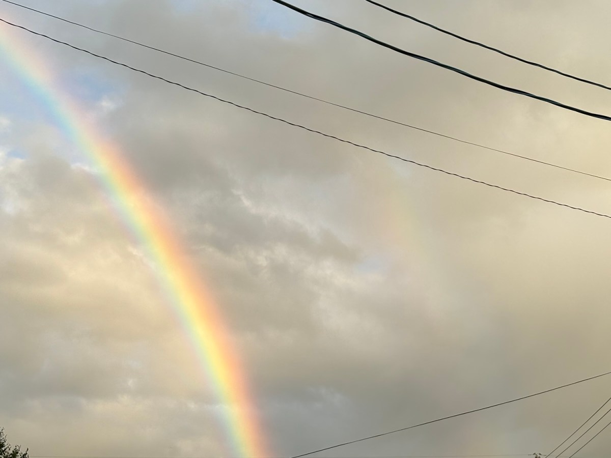 暑さにも負けず・・・