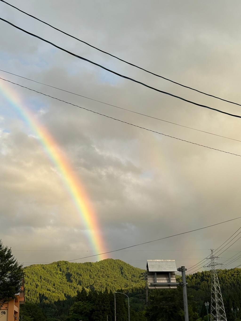 暑さにも負けず・・・